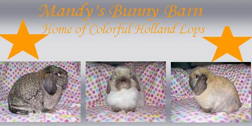 Mandy's Bunny Barn